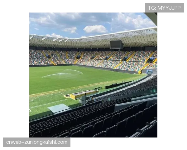 乌迪内斯主场弗留利球场启动顶棚加装工程，以应对恶劣天气